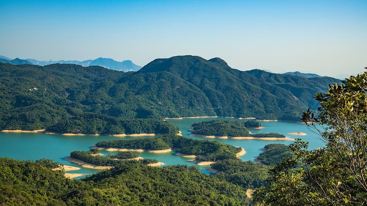 大欖涌千島湖｜新手簡易行山郊遊路線｜香港秋天好去處