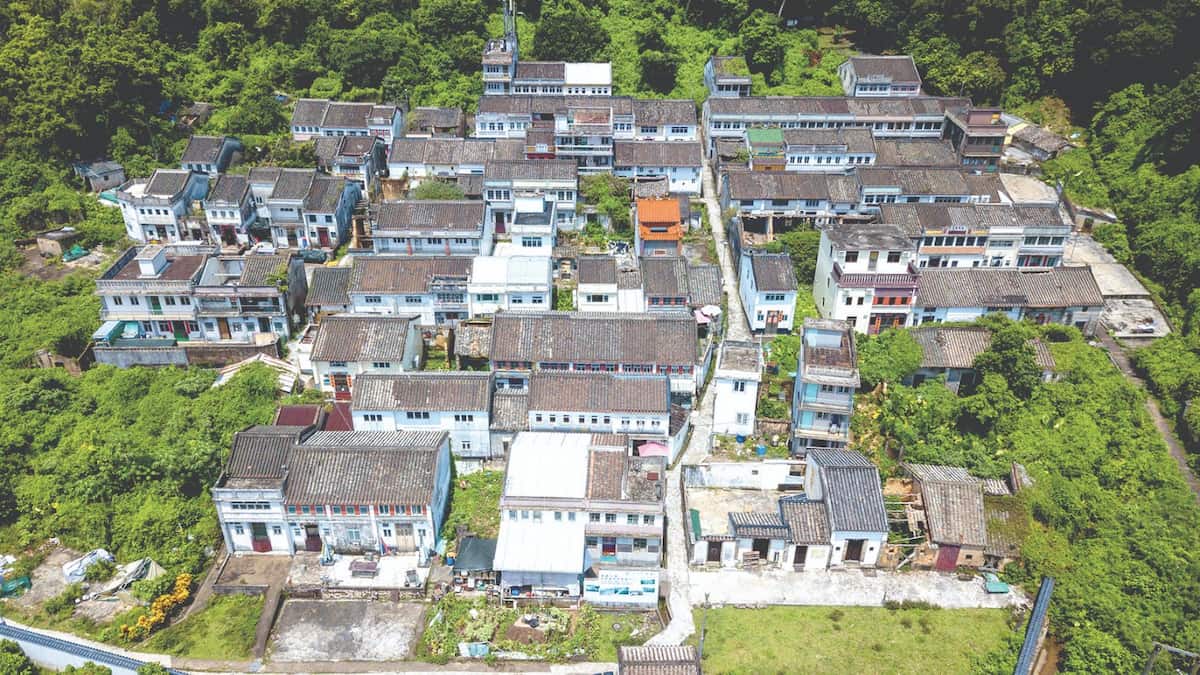 沙頭角荔枝窩｜新手簡易行山郊遊路線｜香港秋天好去處