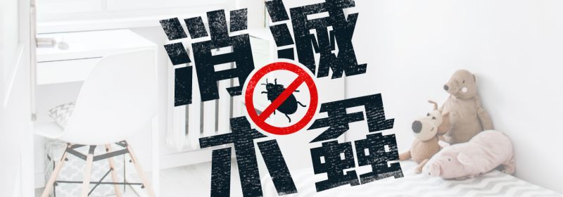 吸血鬼害蟲？消滅木蝨6個方法