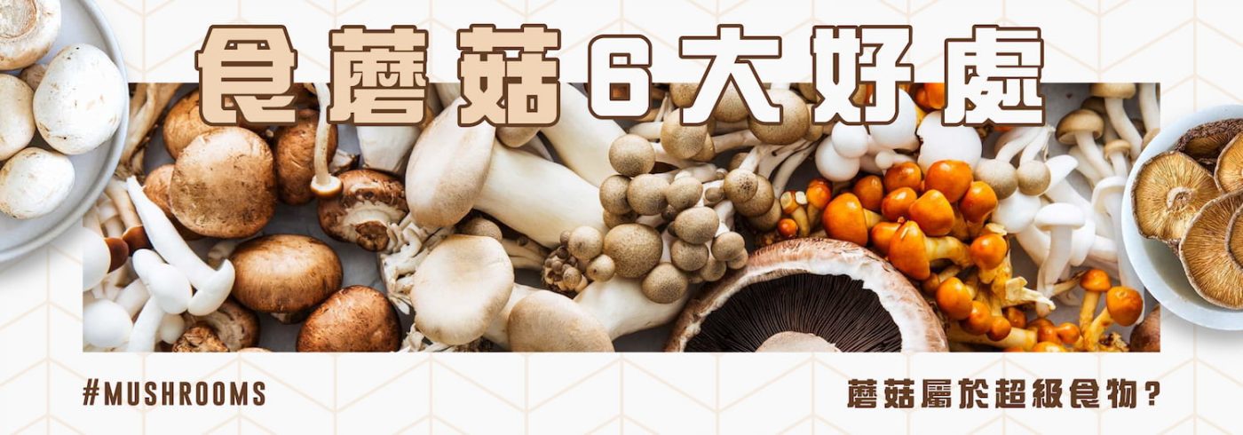 食蘑菇好處 | 蘑菇屬於超級食物?