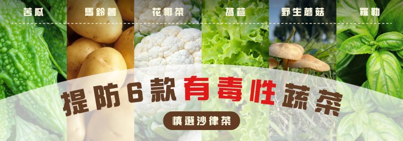 【慎選沙律菜】提防6款有毒性蔬菜