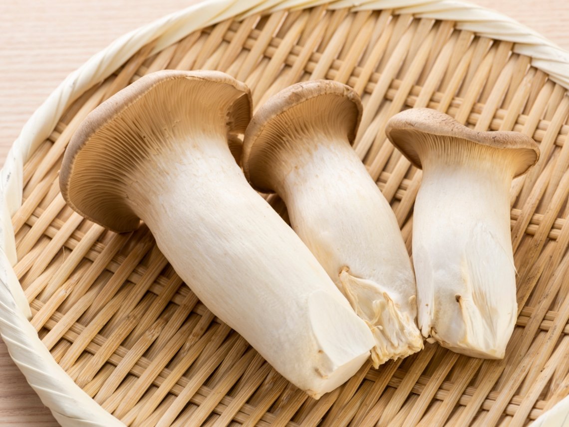 雞脾菇