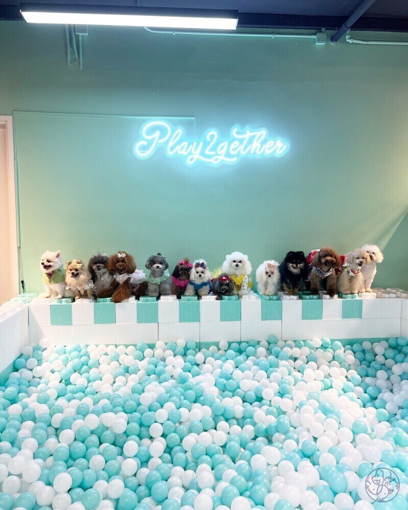Play2gether