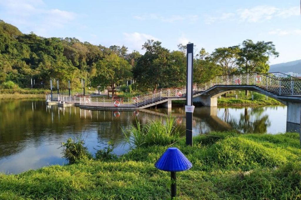 蝶豆花園
