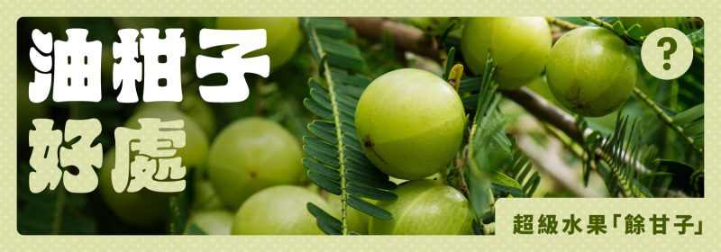 咩係超級水果「餘甘子」? 油柑子5個好處