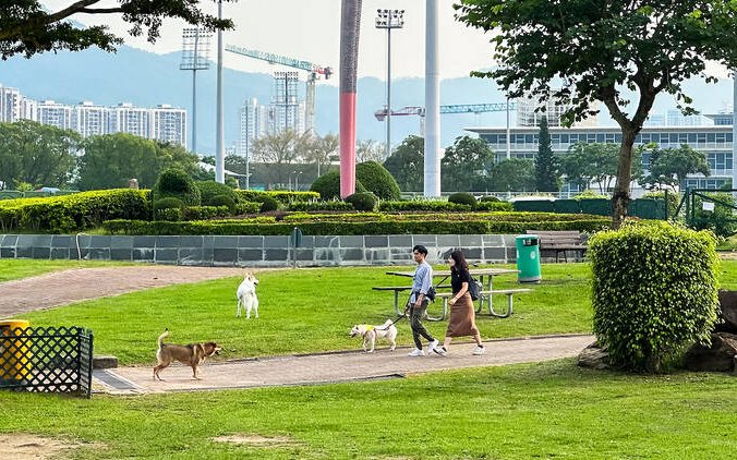 沙田彭富公園
