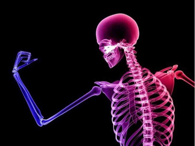 芫荽強健骨骼