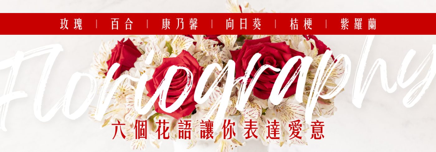 情人節花語【6個花語讓你表達愛意】