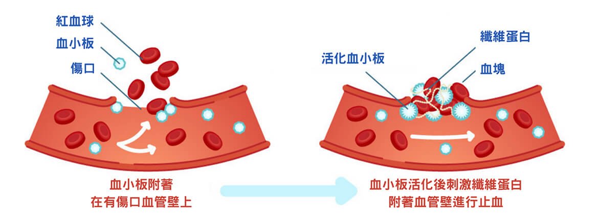 點解會停止流血