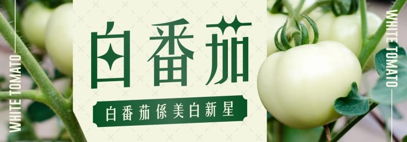 白番茄係咩【白番茄係美白新星】