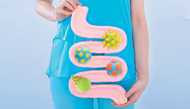 白番茄幫助消化同腸道健康