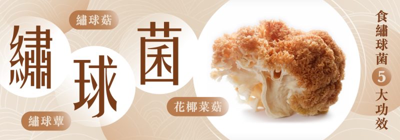 食繡球菌5大功效【認識萬菇之王】