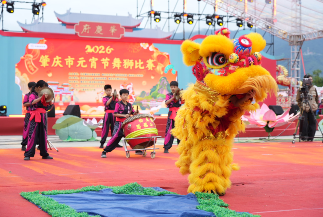 舞獅比賽日益興盛