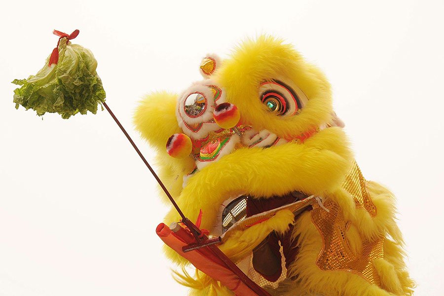 采青是舞獅的表演核心
