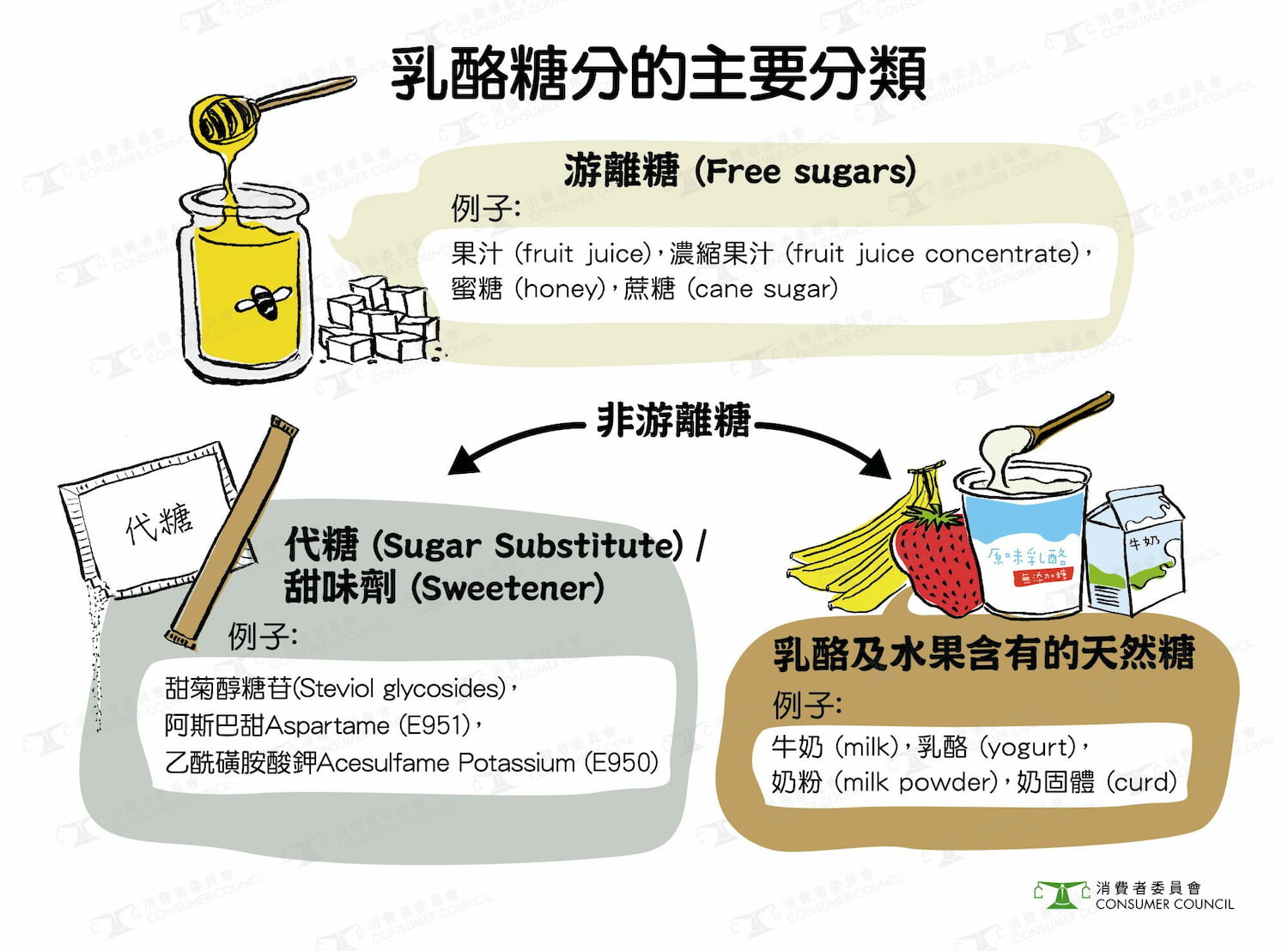 日常飲食中游離糖的主要來源列表,揭示隱藏在加工食品中的甜味陷阱。