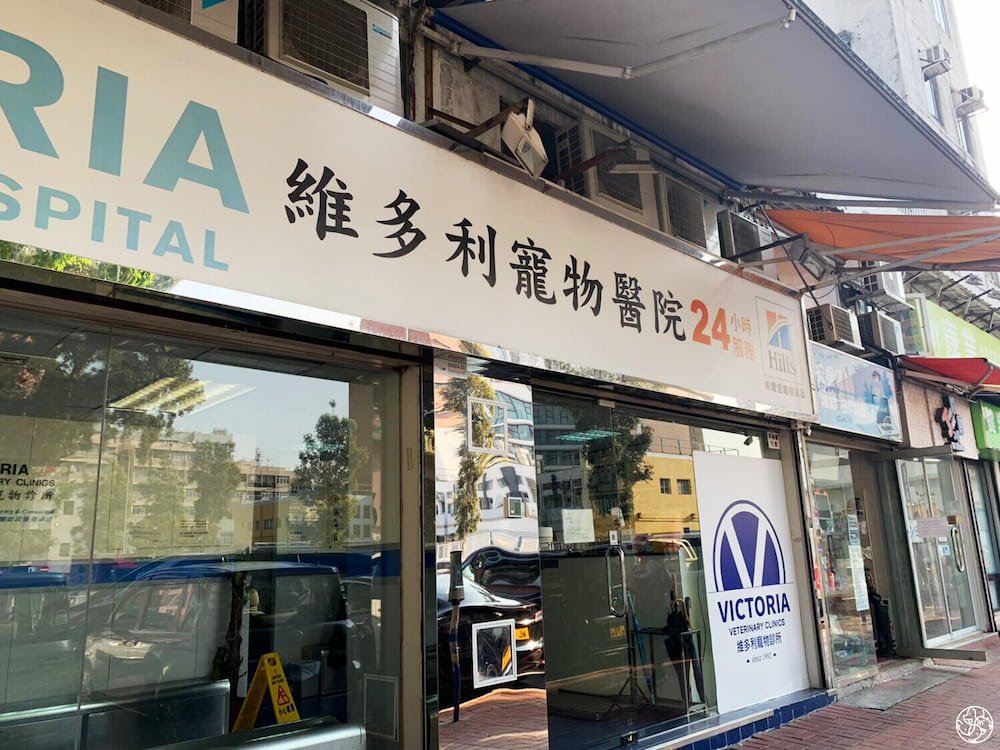貓咪生產應急準備:提早記錄附近 24 小時寵物醫院的聯絡電話與地址。