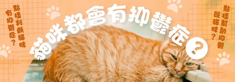 橘貓憂鬱趴著的圖片，上方印有「貓咪都會有抑鬱症？」等關於貓咪抑鬱症的主題文字。