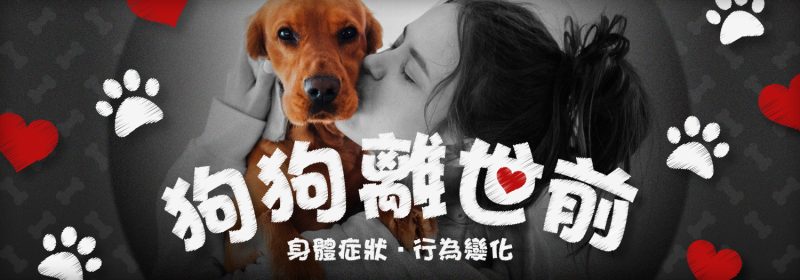狗狗離世前身體症狀及行為變化 Banner：主人親吻愛犬圖
