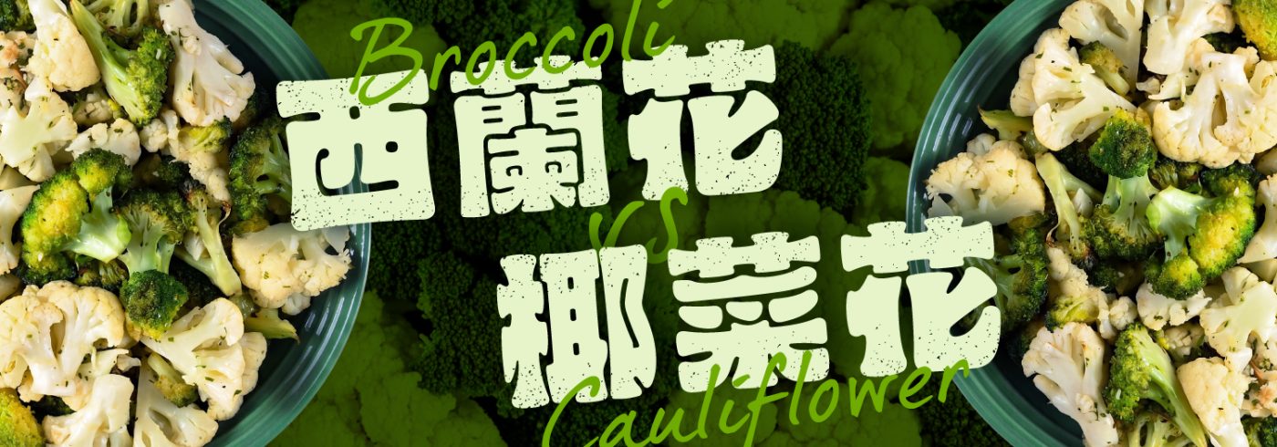 深度解析西蘭花與椰菜花的健康效益、潛在禁忌與適用族群。