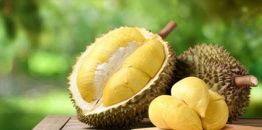 榴槤屬於高糖分熱量炸彈,準媽媽過量食用恐導致胎兒過大及難產。